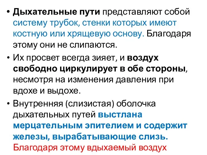 Дыхательные пути представляют собой систему трубок, стенки которых имеют костную