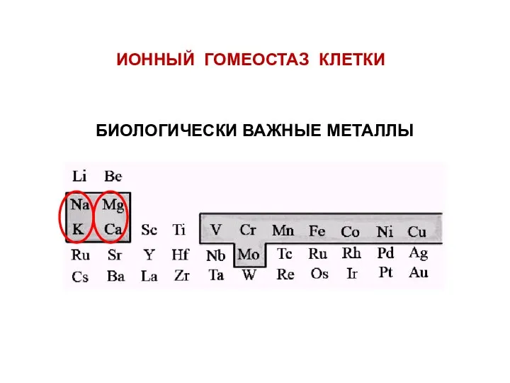 БИОЛОГИЧЕСКИ ВАЖНЫЕ МЕТАЛЛЫ ИОННЫЙ ГОМЕОСТАЗ КЛЕТКИ