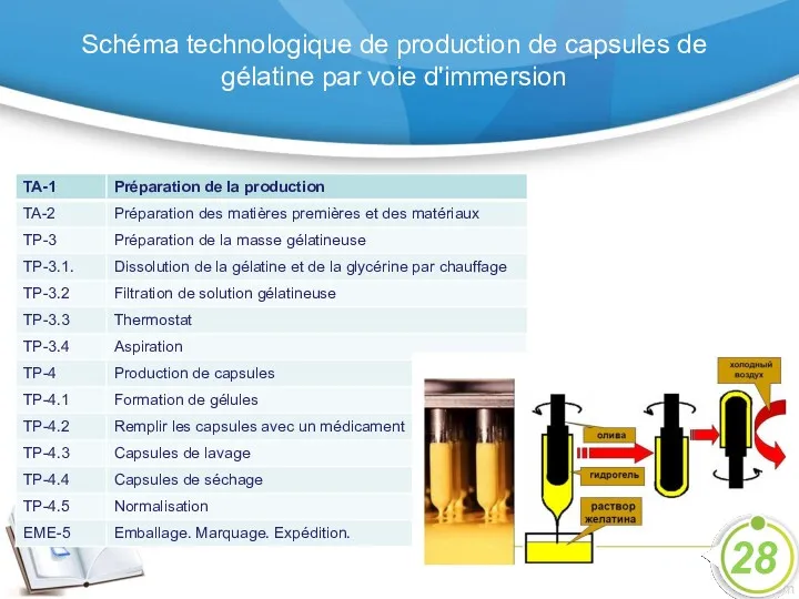 Schéma technologique de production de capsules de gélatine par voie d'immersion 28