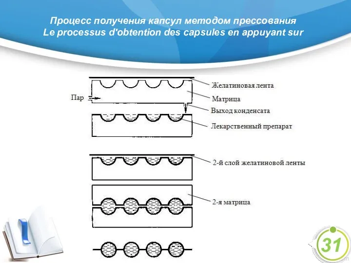 Процесс получения капсул методом прессования Le processus d'obtention des capsules en appuyant sur 31