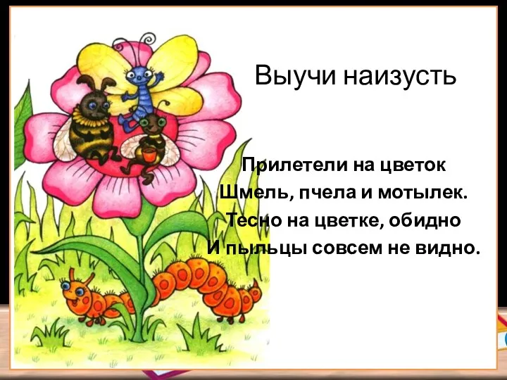 Выучи наизусть Прилетели на цветок Шмель, пчела и мотылек. Тесно