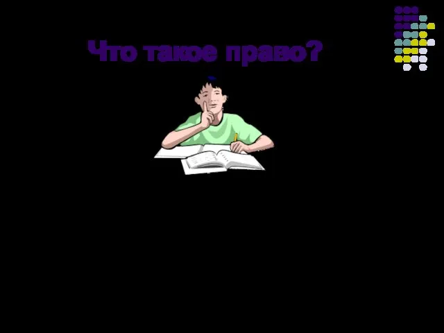 Что такое право? Это совокупность обязательных к исполнению норм, установленных государством, регулирующих общественные отношения.