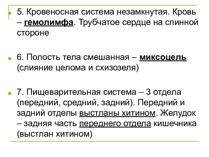 5. Кровеносная система незамкнутая. Кровь – гемолимфа. Трубчатое сердце на