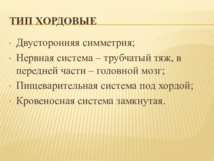 ТИП ХОРДОВЫЕ Двусторонняя симметрия; Нервная система – трубчатый тяж, в