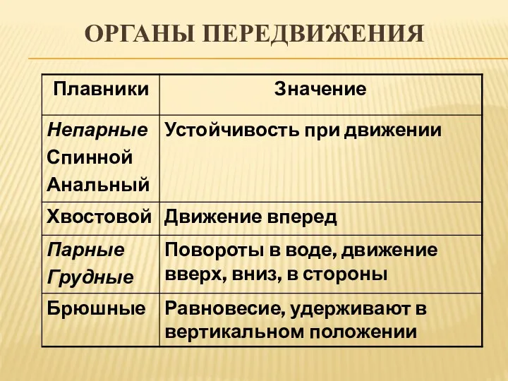 ОРГАНЫ ПЕРЕДВИЖЕНИЯ