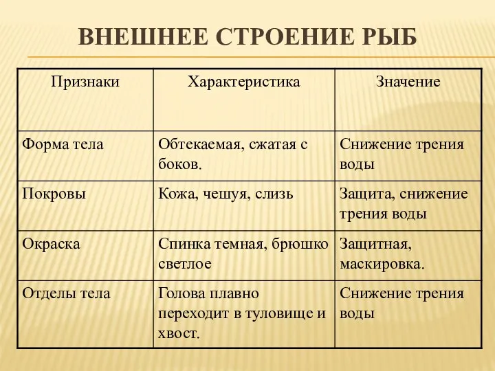 ВНЕШНЕЕ СТРОЕНИЕ РЫБ