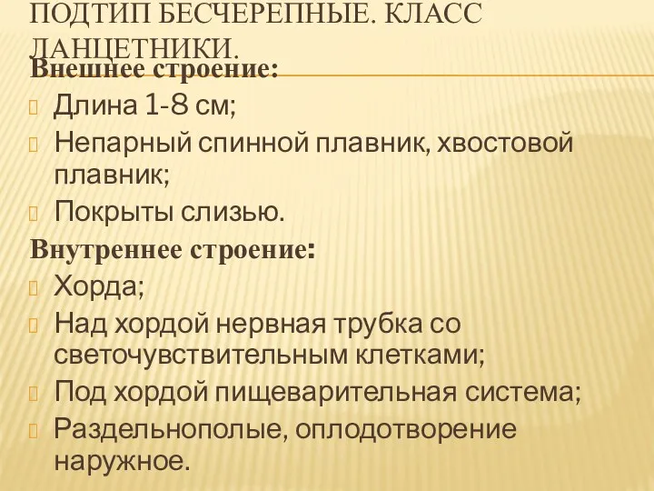 ПОДТИП БЕСЧЕРЕПНЫЕ. КЛАСС ЛАНЦЕТНИКИ. Внешнее строение: Длина 1-8 см; Непарный