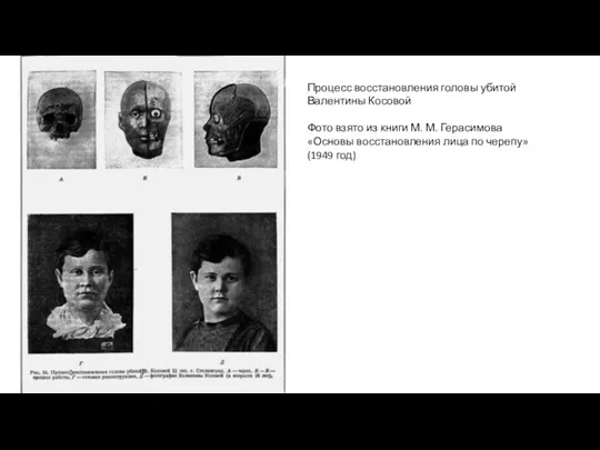 Процесс восстановления головы убитой Валентины Косовой Фото взято из книги