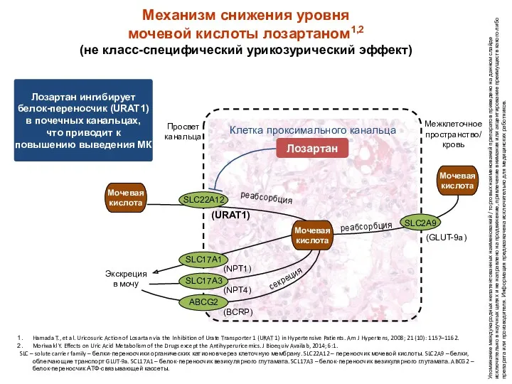 Механизм снижения уровня мочевой кислоты лозартаном1,2 (не класс-специфический урикозурический эффект)