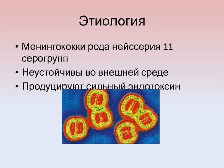 Этиология Менингококки рода нейссерия 11 серогрупп Неустойчивы во внешней среде Продуцируют сильный эндотоксин