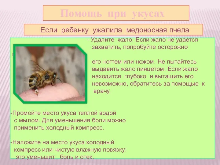 Помощь при укусах Если ребенку ужалила медоносная пчела - Удалите
