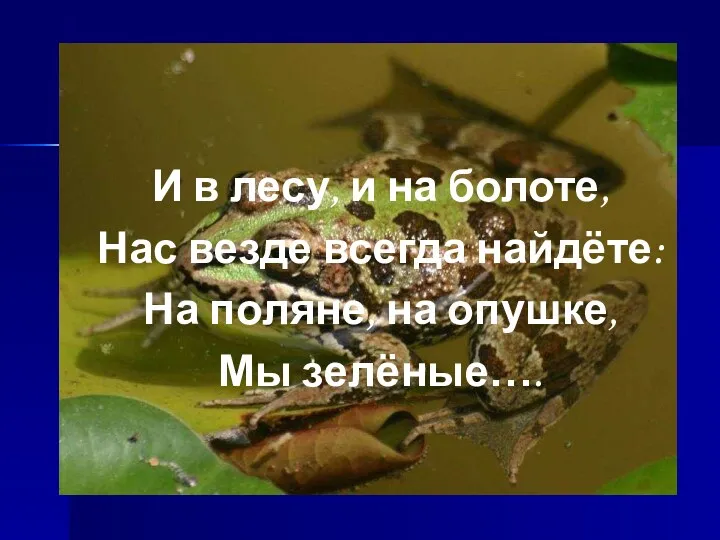 И в лесу, и на болоте, Нас везде всегда найдёте: На поляне, на опушке, Мы зелёные….