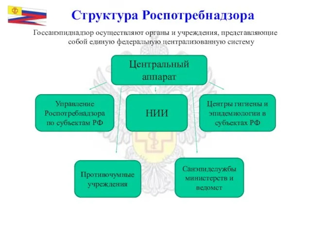 Структура Роспотребнадзора Госсанэпиднадзор осуществляют органы и учреждения, представляющие собой единую