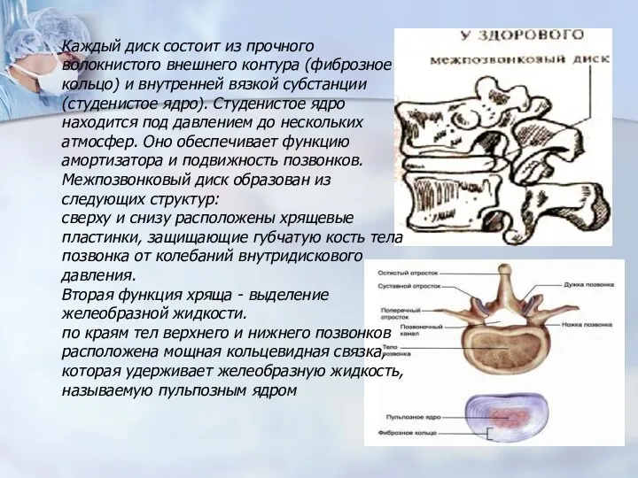 Каждый диск состоит из прочного волокнистого внешнего контура (фиброзное кольцо) и внутренней вязкой