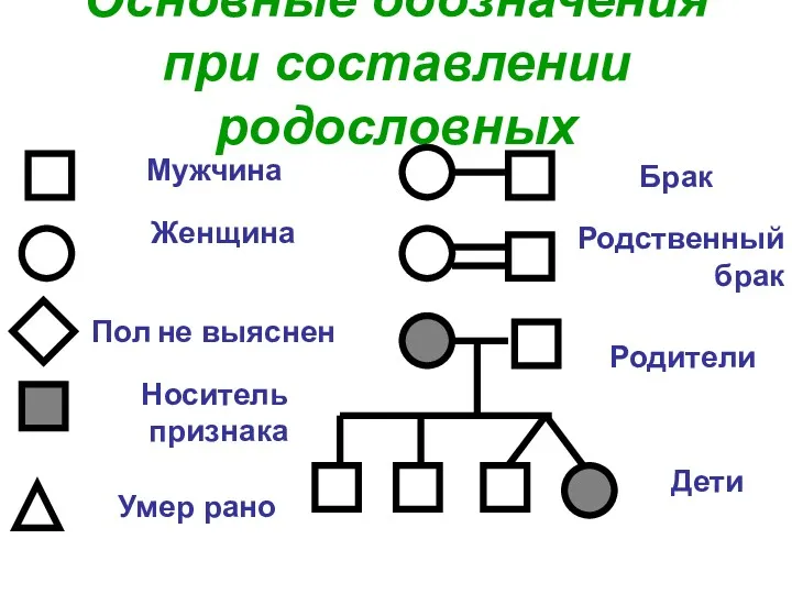 Основные обозначения при составлении родословных Мужчина Женщина Пол не выяснен