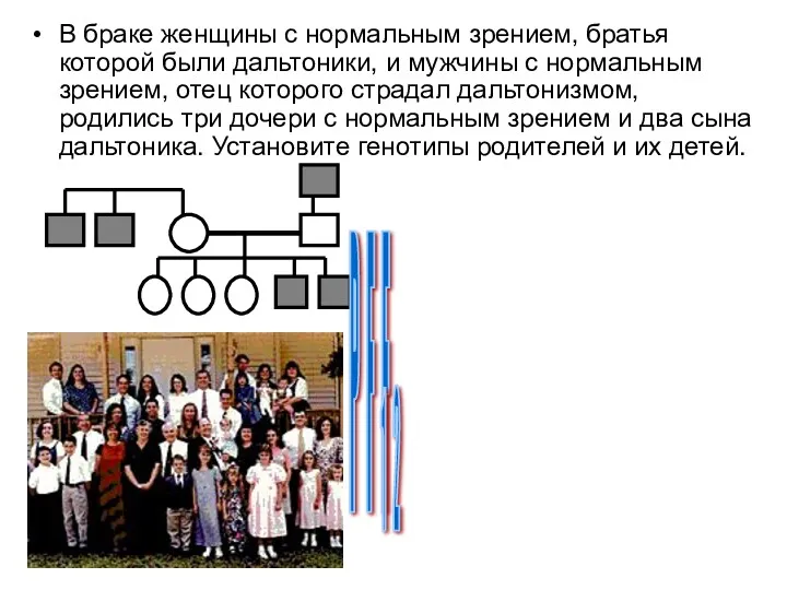 В браке женщины с нормальным зрением, братья которой были дальтоники,
