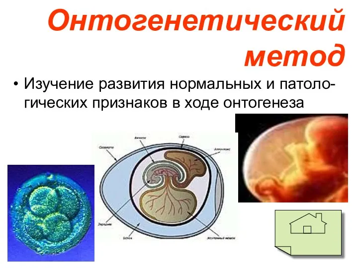 Онтогенетический метод Изучение развития нормальных и патоло-гических признаков в ходе онтогенеза