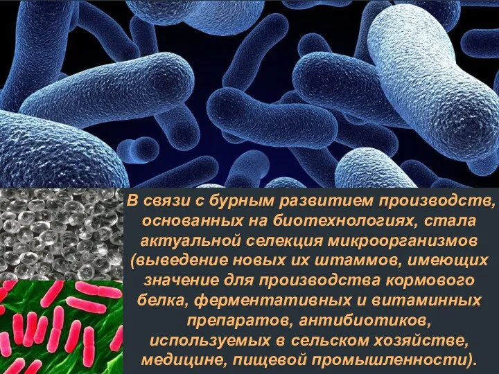 В связи с бурным развитием производств, основанных на биотехнологиях, стала