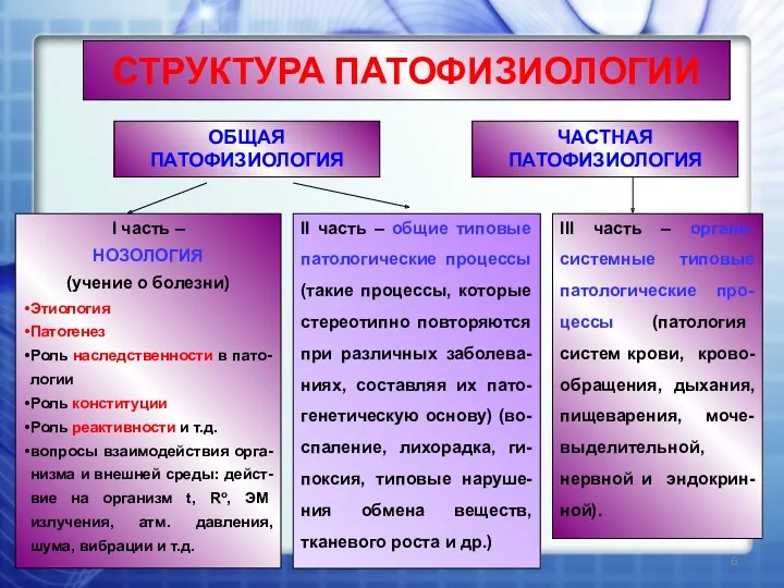 СТРУКТУРА ПАТОФИЗИОЛОГИИ