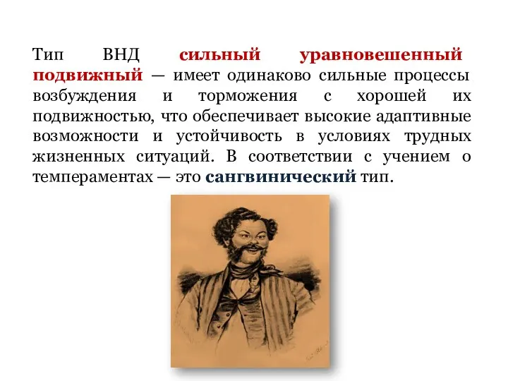 Тип ВНД сильный уравновешенный подвижный — имеет одинаково сильные процессы