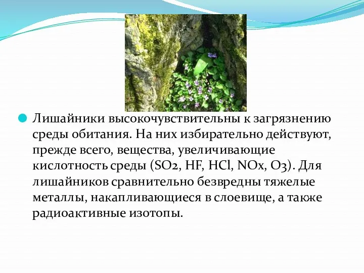 Лишайники высокочувствительны к загрязнению среды обитания. На них избирательно действуют,