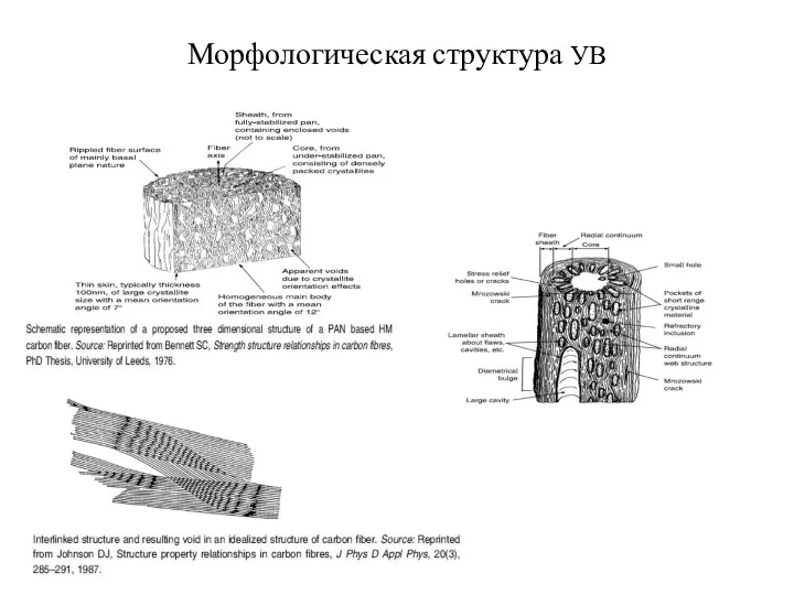 Морфологическая структура УВ