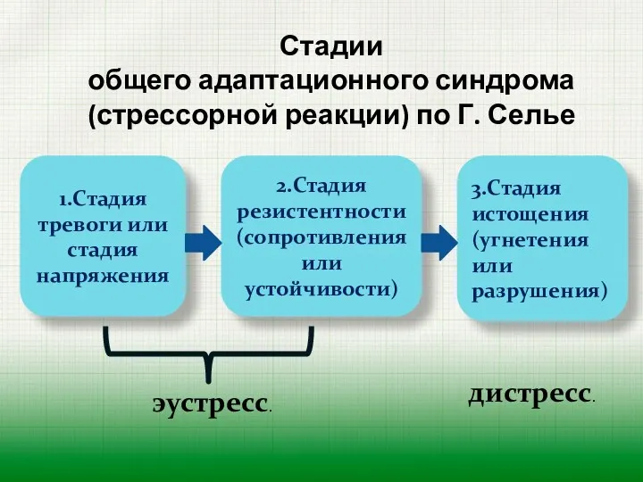 эустресс. Стадии общего адаптационного синдрома (стрессорной реакции) по Г. Селье