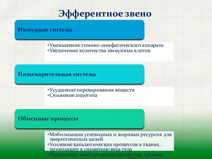 Эфферентное звено Иммунная система Уменьшение тимико-лимфатического аппарата Увеличение количества иммунных