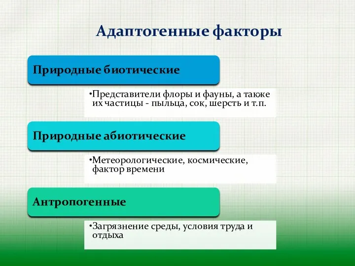 Адаптогенные факторы Природные биотические Представители флоры и фауны, а также