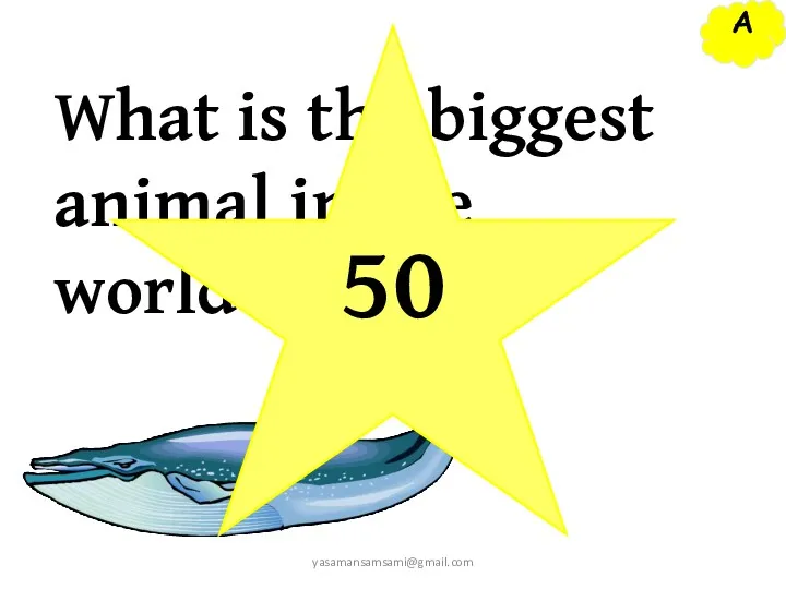 A yasamansamsami@gmail.com What is the biggest animal in the world? 50