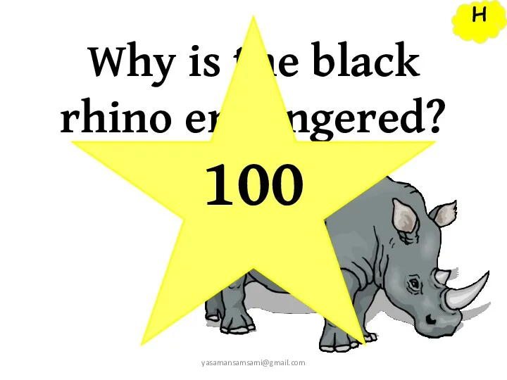 H yasamansamsami@gmail.com Why is the black rhino endangered? 100