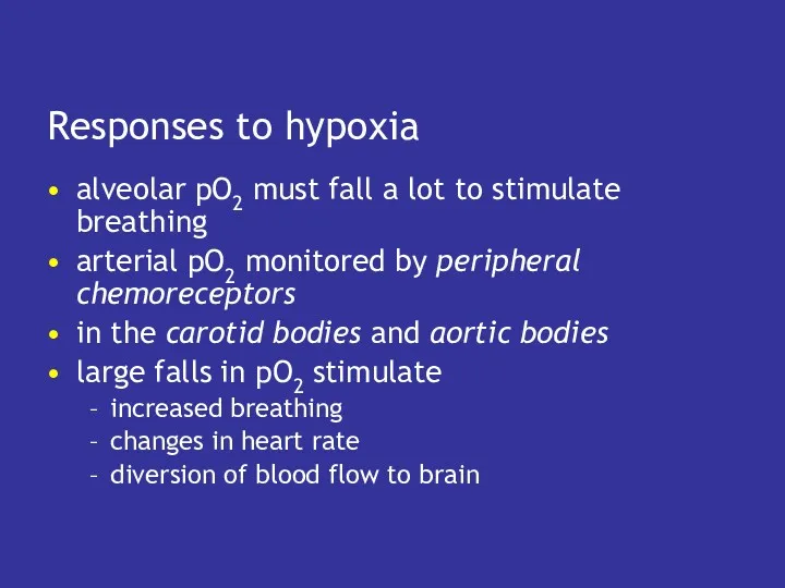 Responses to hypoxia alveolar pO2 must fall a lot to stimulate breathing arterial