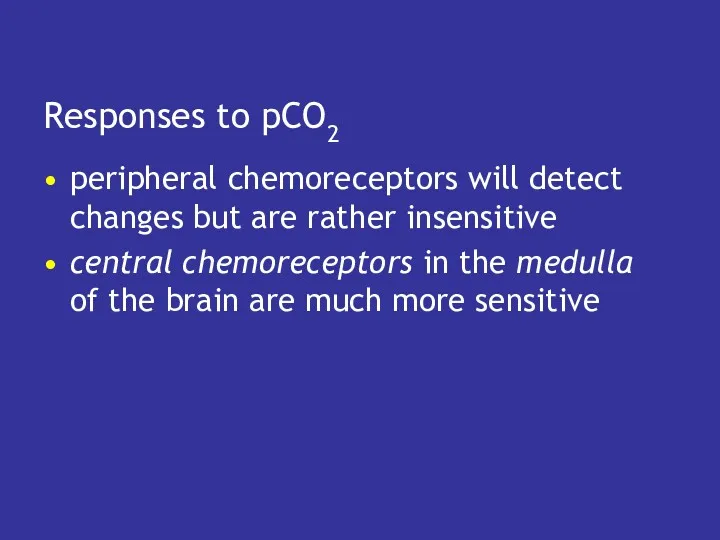 Responses to pCO2 peripheral chemoreceptors will detect changes but are rather insensitive central