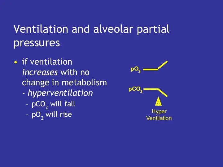 Ventilation and alveolar partial pressures if ventilation increases with no change in metabolism
