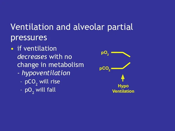 Ventilation and alveolar partial pressures if ventilation decreases with no change in metabolism