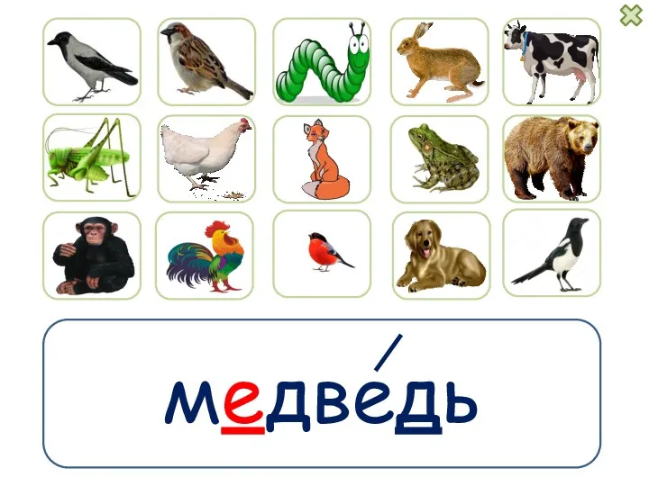 медведь