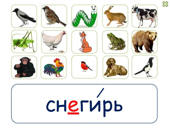 снегирь