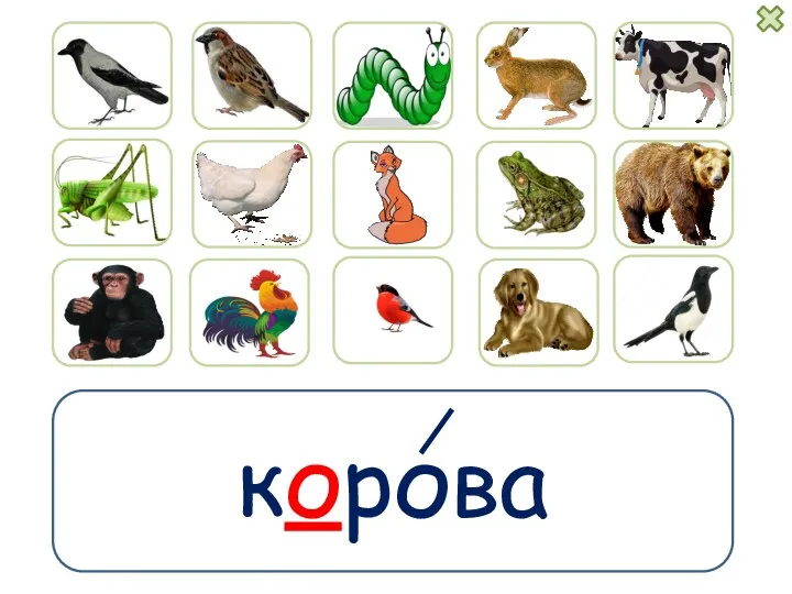 корова