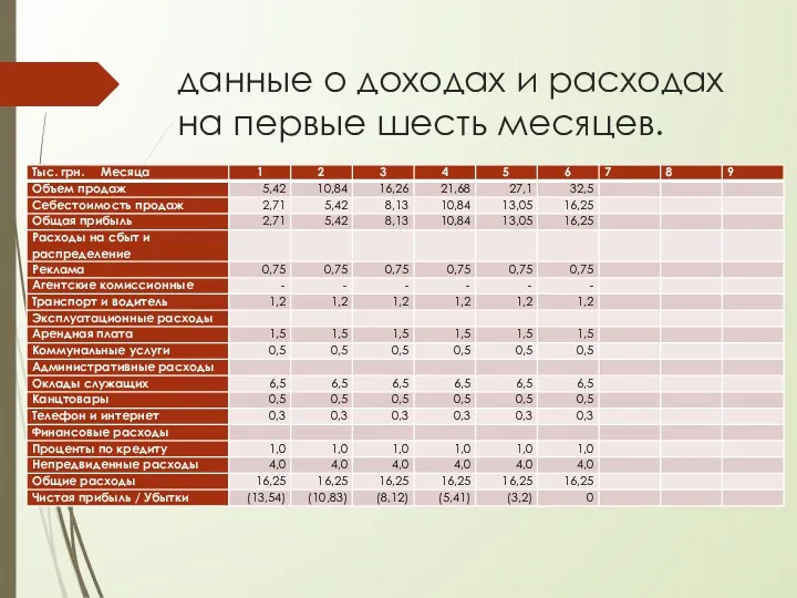 данные о доходах и расходах на первые шесть месяцев.