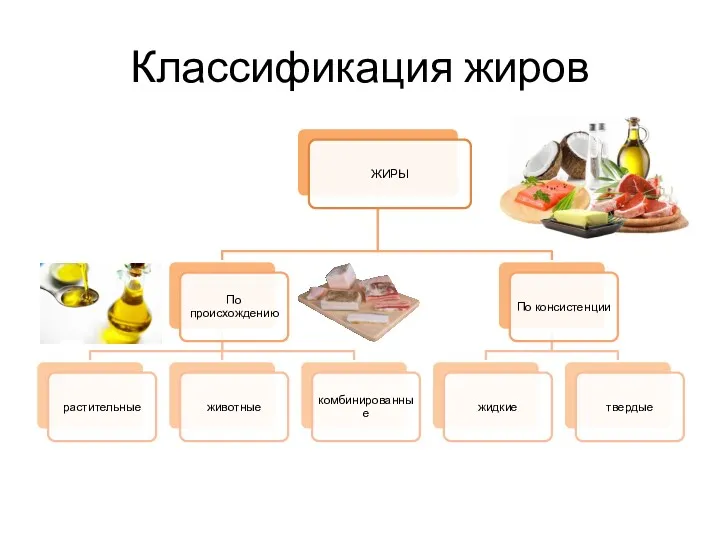 Классификация жиров