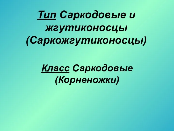 Тип Саркодовые и жгутиконосцы (Саркожгутиконосцы) Класс Саркодовые (Корненожки)