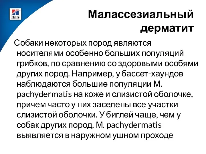 Собаки некоторых пород являются носителями особенно больших популяций грибков, по сравнению со здоровыми