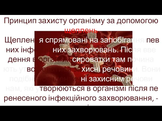 Прин­цип за­хис­ту організму за до­по­мо­гою щеп­лень Щеп­лен­ня спрямовані на запобігання