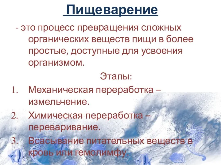 Пищеварение - это процесс превращения сложных органических веществ пищи в