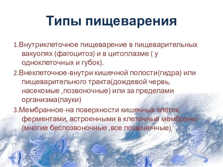 Типы пищеварения 1.Внутриклеточное пищеварение в пищеварительных вакуолях (фагоцитоз) и в