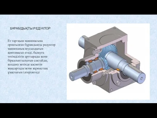 БҰРАМДЫҚТЫ РЕДУКТОР рамдықты редуктор Ет тартқыш машинасына орнатылған бұрамдықты редуктор