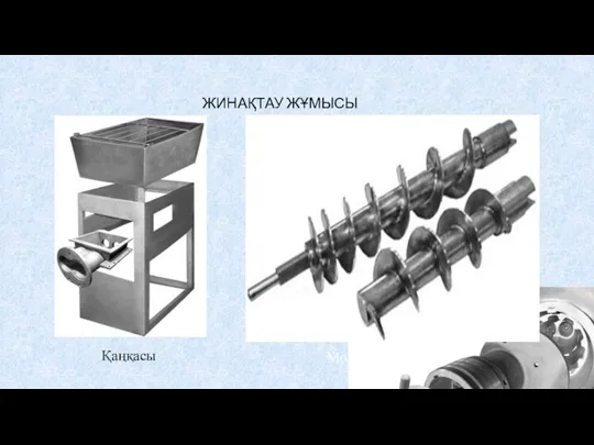 ЖИНАҚТАУ ЖҰМЫСЫ Қаңқасы Мойыншалар