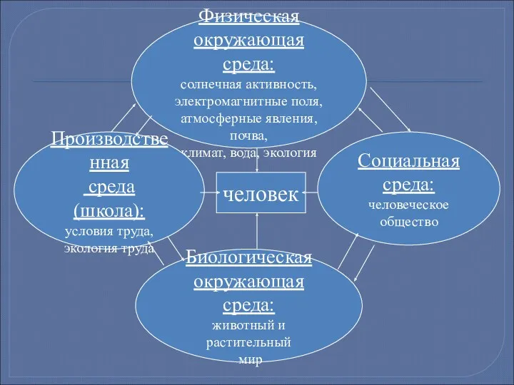 Физическая окружающая среда: солнечная активность, электромагнитные поля, атмосферные явления, почва,