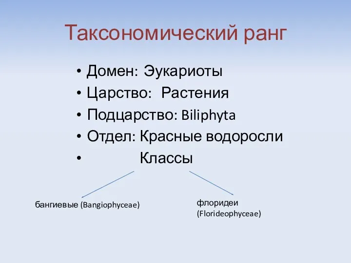 Таксономический ранг Домен: Эукариоты Царство: Растения Подцарство: Biliphyta Отдел: Красные водоросли Классы бангиевые (Bangiophyceae) флоридеи (Florideophyceae)