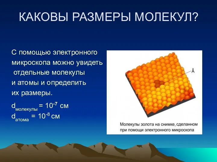 КАКОВЫ РАЗМЕРЫ МОЛЕКУЛ? С помощью электронного микроскопа можно увидеть отдельные